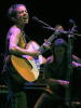 Ani_Difranco_Web